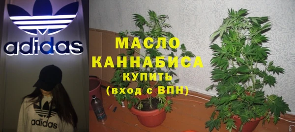 сатива Нязепетровск