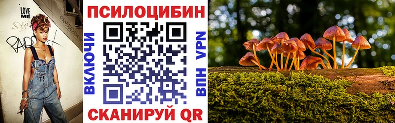 купить закладку  Плёс  Псилоцибиновые грибы мухоморы 