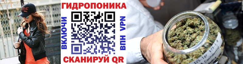 Марихуана Bruce Banner  Плёс 